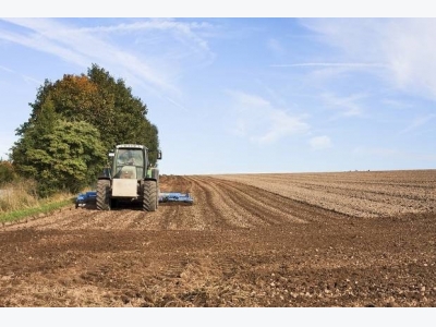 Northern Irelands post-Brexit agriculture