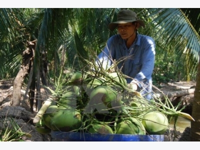 Ben Tre targets sustainable agricultural development