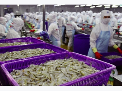 Nhập khẩu tôm và bài toán nội lực