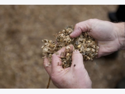 Identify and fix your mycotoxin contaminated silage