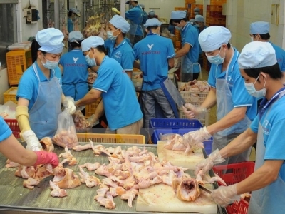 VN strives for chicken meat export to EU