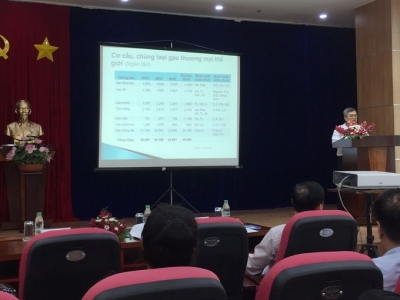 Viet Nam rice industry should focus on quality: experts
