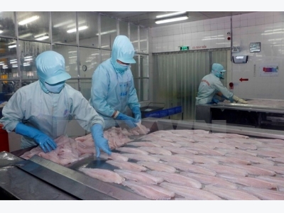 Tra fish fair to take place this week in Hanoi