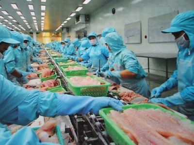 Châu Âu rút thẻ vàng với hải sản Việt Nam