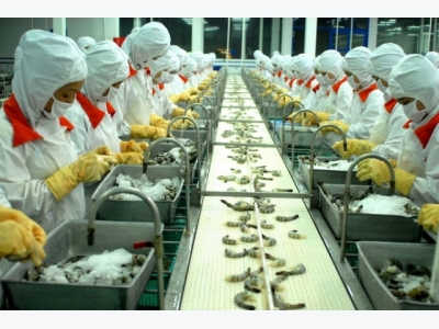 Shrimp exports pulled up by Japanese market