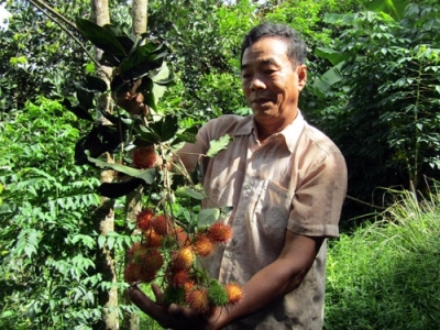 Làm giàu từ mô hình gọi ngược kiểu THÍCH ĐỦ THỨ