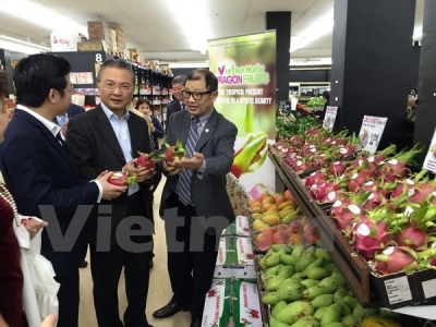 Vietnamese Dragon Fruit Day goes vibrant in Australia