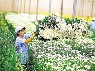 Smart agriculture to be aided by PPP