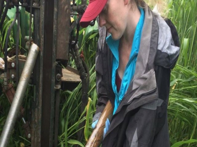 Soil could filter antibiotics from treated wastewater