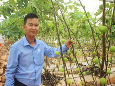 Khi người trẻ khởi nghiệp từ nông nghiệp