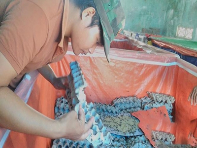 Làm kinh tế từ những giống vật nuôi mới