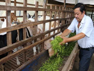 Agricultural by-products improve farmers income, benefit environment