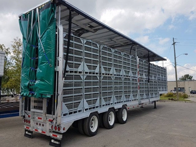 5 technologies that may improve broiler welfare