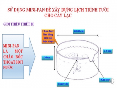 Mini-pan, sản phẩm hữu hiệu cho nhà nông