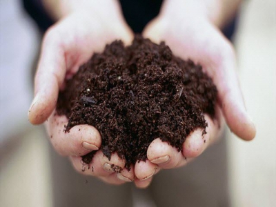 10 Easy Soil Tests That Pinpoint Your Gardens Problems