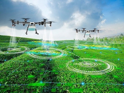 Vietnamese agriculture 4.0 harbours great potential