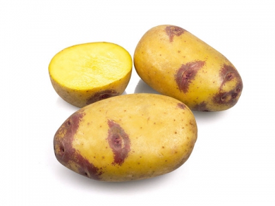 Potato tuber moth and other spud pests