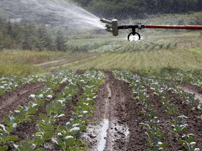 Irrigating in extreme heat