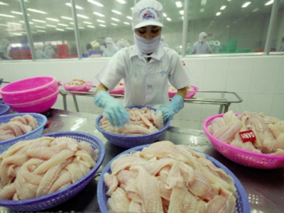 Vietnams pangasius exports to the US slumped in the first eight months of 2019