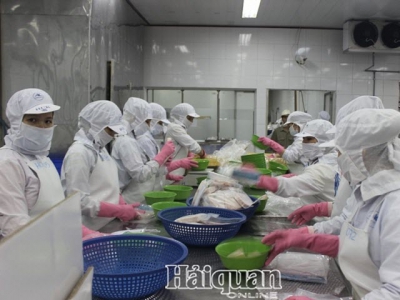 Difficult to export Pangasius to America