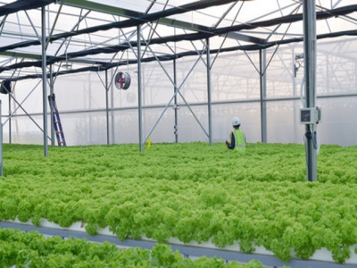Vietnams agricultural processing sector remains at modest level