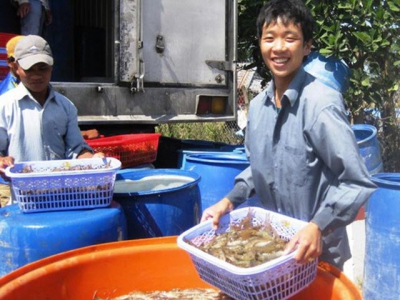 Export of shrimps speeds up