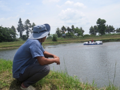 Nuôi cá tra VietGAP giúp giảm giá thành sản xuất tại Đồng Tháp