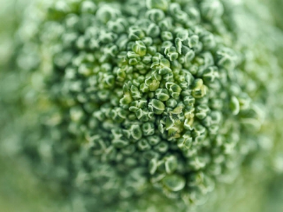 Garlic and broccoli: A delicious pairing that also repels pests