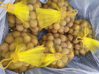 Trade Office warns of packaging mistake on longan exports to Australia
