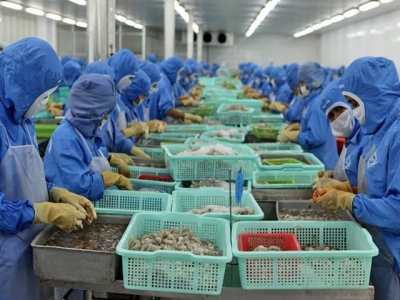 Vietnams shrimp exports in the first six months up 5.7%