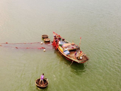 Farming organic shrimps in Mekong Delta