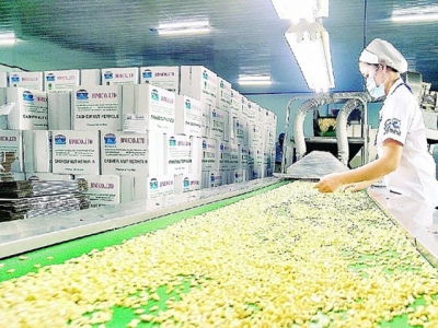 Cashew exports expected to prosper in the EU and US