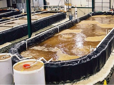 India introduces new policy to boost biofloc technology