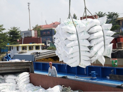 Vietnams rice exports to the EU stay modest due to limited quota