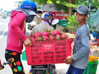 Dont use Chinese characters and red color on packaging of dragon fruit for export to India