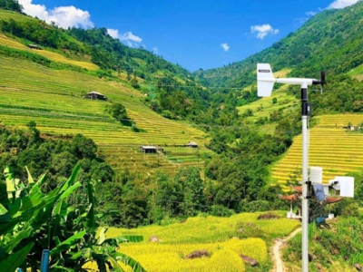 'Số hóa' công tác dự tính, dự báo sâu bệnh hại