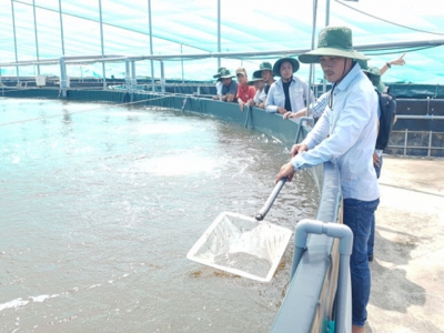 Adjustment to minimize difficulties in shrimp production capital