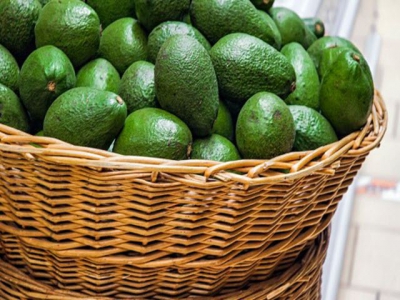 Avocado will be the most exported fruit in 2030