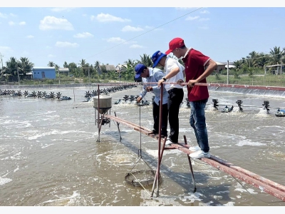 Thích ứng với biến động thị trường bằng thủy sản có chứng nhận
