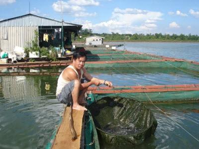 Kỷ Thuật Nuôi Cá Lăng Nha