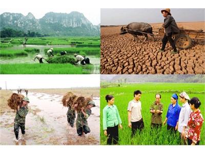 Bảo Hiểm Nông Nghiệp Cho Từng Loại Cây Trồng