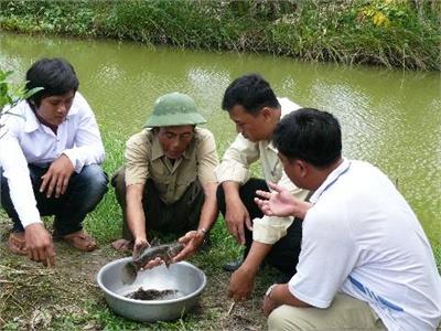 Phòng Và Trị Một Số Bệnh Thường Gặp Cho Cá Bống Tượng