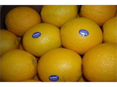 Cam Trung Quốc Gắn Mác Cam Vinh Lừa Khách