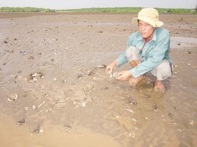 Lỗ Nặng Vụ Nghêu Thạnh Phong