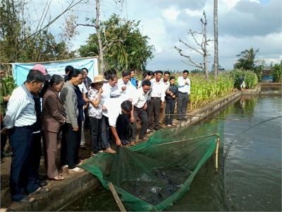 Hội Thảo Mô Hình Nuôi Cá Chép V1 Thương Phẩm