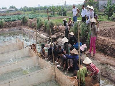 Phát Triển Nuôi Thủy Sản