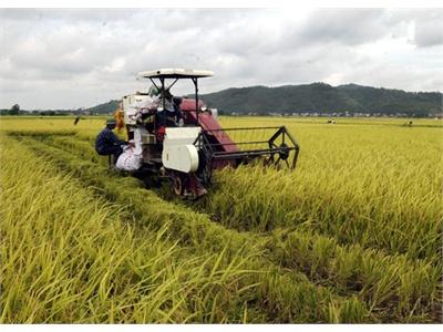 Đột Phá Từ Dồn Điền Đổi Thửa, Tạo Tư Duy Sản Xuất Mới Cho Nông Dân