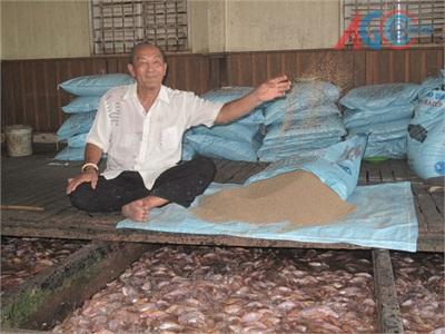Thắng Lớn Khi Đưa Cá Vào Chợ