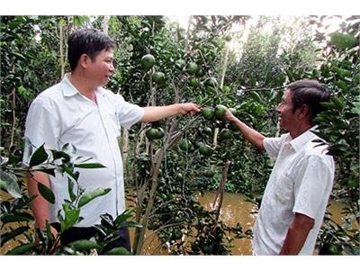 Chuyển Đổi Cơ Cấu Cây Trồng Theo Hướng Tích Cực