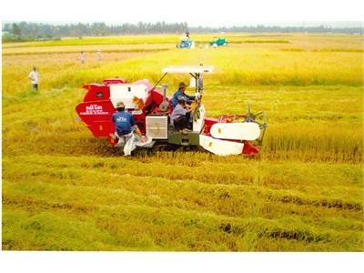 Dồn Lực Cánh Đồng Lớn